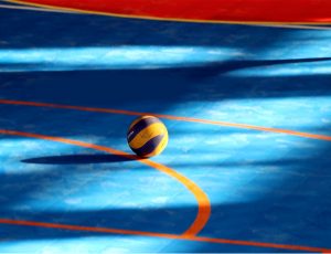 pavimentos-desportivo pavimentos-desportivo